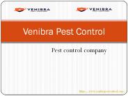 Ticks Control in Mercedes Texas