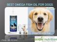 Pure omega fish oil for dogs and cats PowerPoint PPT Presentation