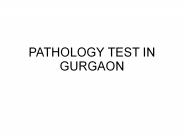 Vitamin B12  in Gurgaon