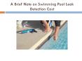 A Brief Note on Swimming Pool Leak Detection Cost PowerPoint PPT Presentation