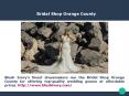 Wedding Dresses Los Angeles PowerPoint PPT Presentation
