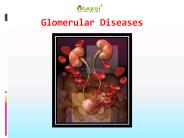 Glomerular Diseases: Glomerulosclerosis and Glomerulonephritis (2)
