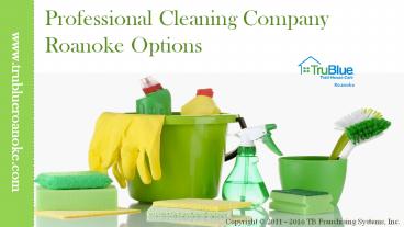 Professional Cleaning Company Roanoke Options