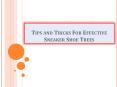 Tips and Tricks For Effective Sneaker Shoe Trees PowerPoint PPT Presentation