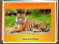 Get Corbett Tour Packages-Corbett National Park PowerPoint PPT Presentation