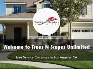 Trees N Scapes Unlimited Presentation
