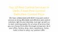 Top 10 Pest Control Services in Delhi,5 best Pest Control Delhi,Pest Control Price PowerPoint PPT Presentation