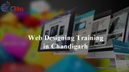 Web Designing Training in Chandigarh (3)