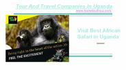 Adventurer Uganda Gorillas