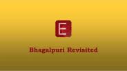 Women's Ethnic Saree Wear - Ethnickart