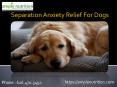 Calm and Relax your Dogs with best separation anxiety relief by Ample Nutrition PowerPoint PPT Presentation