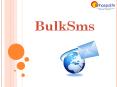 Bulk SMS Services Provider PowerPoint PPT Presentation