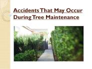 Accidents That May Occur During Tree Maintenance