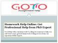 Homework Help Online: Get Professional Help from PhD Expert PowerPoint PPT Presentation