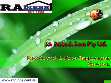 Pest Control & Home Improvement Services