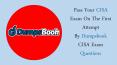 CISA Dumps