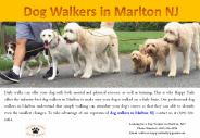 Dog Walkers in Marlton NJ