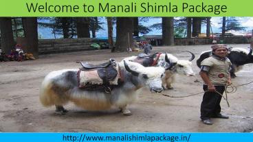 Manali Shimla Package – An Enthralling Experience for Nature Lovers (6)