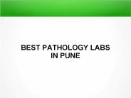 Kidney Function Test in Pune