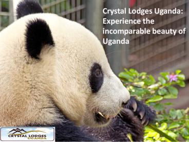 Crystal Lodges Uganda: Experience the incomparable beauty of Uganda