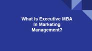 What is executive MBA in marketing management?