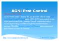 pest controlin chennai PowerPoint PPT Presentation