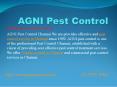 pest control servicesin chennai PowerPoint PPT Presentation