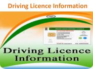driving licence information
