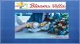 Midnight Flower Delivery In Bangalore By Blooms Villa PowerPoint PPT Presentation