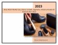 Shoe Polish Market : Latest Trends, Demand and Analysis 2023 PowerPoint PPT Presentation