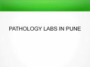 Uric Acid Test in Pune