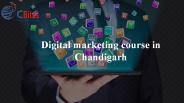 Digital marketing course in Chandigarh