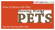 Hire expert pet movers at CallExperto.com