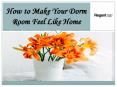 How to Make Your Dorm Room Feel Like Home PowerPoint PPT Presentation