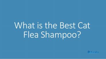 What is the Best Cat Flea Shampoo