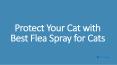 Protect Your Cat with Best Flea Spray for Cats PowerPoint PPT Presentation