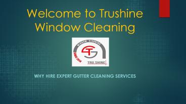 Home Window Cleaning Service