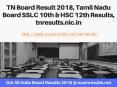 TN Board Result 2018, Tamil Nadu Board SSLC 10th & HSC 12th Results, tnresults.nic.in PowerPoint PPT Presentation