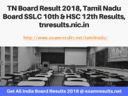 TN Board Result 2018, Tamil Nadu Board SSLC 10th & HSC 12th Results, tnresults.nic.in