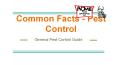 pest and termite control PowerPoint PPT Presentation