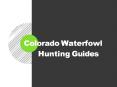 Colorado Waterfowl Hunting Guides PowerPoint PPT Presentation