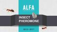 Insect Pheromone PowerPoint PPT Presentation