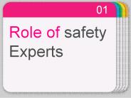 Role of safety Experts