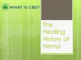 Explore industrial Hemp and its Benefits PowerPoint PPT Presentation