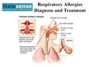 Respiratory Allergies-Diagnose and Treatment