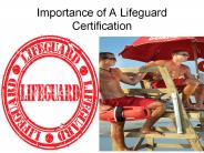 Importance of A Lifeguard Certification