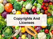How to get license stock images?