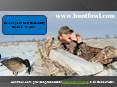 Safest Duck Hunting Guides PowerPoint PPT Presentation