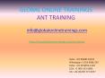 ANT training | Apache ANT Online Training - Global Online Trainings PowerPoint PPT Presentation