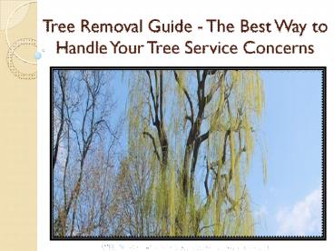 PPT – Tree Removal Guide - The Best Way to Handle Your Tree Service ...